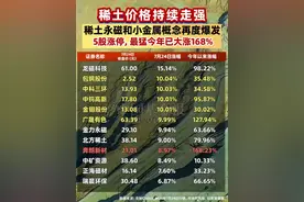 稀土价格持续走强，稀土永磁和小金属概念再度爆发，5股涨停，最猛今年已大涨168% (记者：牛思若 南深) #稀土永磁  #小金属  #A股