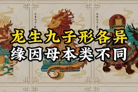 龙生九子形各异，缘因母本类不同视频封面