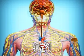 怎样才能让狂躁的你安静下来？ #涨知识 #科普 #动画 #安静