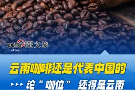 “云南咖啡还是代表中国的”，征服全球味蕾，出口29个国家和地区。论“咖位”，还得是云南！#云南咖啡 #云南 #咖啡 #彩云之南视频封面