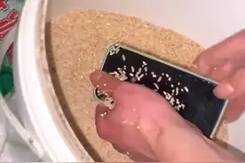 2月16日贵州铜仁（采访），手机掉进厕所捞出用水冲洗后，男子神操作放进米里祛味视频封面