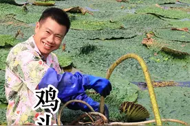 家乡的美味鸡头包梗子，在你们那边叫什么？小时候常吃的，现在却很难见到了。 #我的乡村生活 #芡实鸡头米 #跟着抖音学做菜 #湖北特色美食视频封面