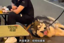 狗子想吃烤串赖着不走，被“骗”买雪糕，回程再遇烧烤摊停下不走 #烧烤视频封面