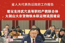 聚焦湖北两会：建议支持武穴高等职校产教联合体  大别山大宗货物铁水联运物流园建设 #黄冈视频封面