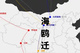 昆明海鸥迁徙图 昆明海鸥的8000公路的迁徙路线，每年飞几个月。视频封面