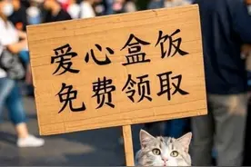 勤劳猫咪做盒饭送给大家 用心生活，每一天都值得珍惜#猫咪日常 #猫咪的迷惑行为 #猫咪 #猫咪表情包 #ai在抖音 @DOU+小助手视频封面