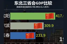 哈尔滨长春沈阳三市GDP比较，东北省会发展水平如何？ #知识视频封面