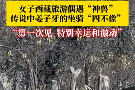 女子在西藏旅游时偶遇“神兽”，传说中姜子牙的坐骑“四不像”，拍摄者：从小到大没见过，特别幸运和激动。#女子西藏偶遇四不像 #二级保护动物视频封面