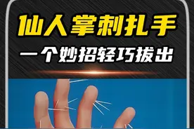 被仙人掌刺扎进手，不要慌乱急着拔出，一个妙招轻巧处理！ #科普