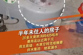 1月23日，安徽安庆桐城。有网友报料，说房子从2024年9月1日至今无人居住，12月6日水表异常，到12月31日共产生水费1700多元水费，于是打电话给供水方，对方派人查看，进门前水表依然疯转，进门后一切正常，所有水龙头都处于关闭状态，房主质疑，说水表空转，为啥要我缴费。视频封面