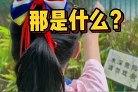 水里是游泳健将，路上行动缓慢的树懒 #科普 #涨知识 #亲子教育视频封面