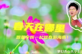 春天在哪里？跟董宇辉一起踏春游海南！#踏春游海南真香视频封面