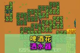 【星露谷物语1.6】啤酒花和优质洒水器的搭配 #星露谷物语