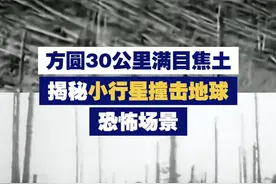 【方圆30公里满目焦土！揭秘小行星撞击地球恐怖场景】近日，“小行星可能撞击地球”话题引发热议。专家介绍，这次观测的小行星，若撞击地球，其情况可能与1908年通古斯大爆炸相似。