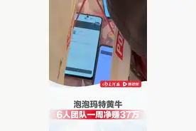 泡泡玛特黄牛6人团队一周净赚37万， 工作室20台手机，靠软件自动秒抢#Labubu #泡泡玛特 #黄牛视频封面