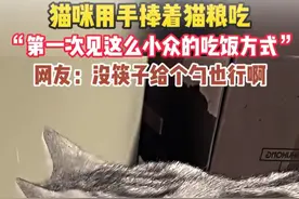 猫咪用手捧着猫粮吃“第一次见这么小众的吃饭方式”网友:沒筷子给个勺也行啊#猫猫的事情你少管 #猫咪迷惑行为大赏 #萌宠出道计划 （来源：@忻雨_ ）视频封面