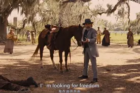 《被解救的姜戈》主题曲《Freedom》自由万岁❗ The theme song