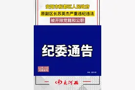 安阳市殷都区人民政府原副区长苏英杰严重违纪违法 被开除党籍和公职#安阳 #纪委视频封面
