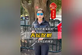 为什么天坛古树的年龄么比天坛还大? 1563棵！为什古树那么多？#天坛公园 #清明小长假 #北京一日游 #京状元精讲团队视频封面