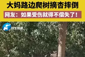 大妈路边爬树摘杏摔倒，网友：如果受伤就得不偿失了！#路人视角 #危险行为请勿模仿 #开眼界了 来源：@大勇 