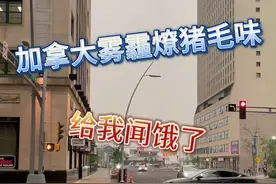 为什么加拿大开始强制全民抽烟？前调绵柔好入口，后调醇厚死得快#vlog我的日常#海外生活#奇葩视频封面