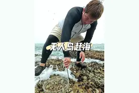 命悬一线的赶海，一生必吃的美食。 佛手螺全部栖息在危险的石头缝，没浪的地方它是不生长的！整个采摘过程抓提心吊胆！简直太刺激了！#创作灵感 #乡村守护人 #户外赶海抓海鲜 #尝一口春天的味道  #吃海鲜我们是认真的