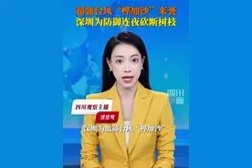 9月23日，风王“桦加沙”来势凶猛即将登陆，深圳街头连夜砍断树枝预防强风造成破坏。