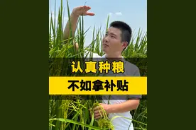 你的补贴拿了吗？ #三农 #水稻 #农业补贴 #农业种植 #农业保险