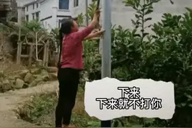 近日，湖南邵阳。熊孩子为了躲避奶奶追打，直接爬上了路灯杆。奶奶：下来，保证不打你！视频封面