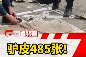 驴皮485张！广西防城港海警局查获一起涉嫌#走私  动物制品案 #驴皮 #广西dou知道视频封面