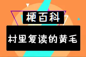 现在村里复读的黄毛这么老实诚恳的嘛！#燕云十六声  #游戏 #万万没想到 #搞笑视频封面