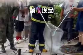 6月13日，广东深圳，南山蛇口四海公园附近，一女子骑行时突然发现一条大蛇从电动车里钻出，吓得扔掉电动车就跑。消防员出动上演“抓蛇大作战”，最后“手到擒来”！#深圳  #四海公园  #蛇  #抓蛇 #深圳dou知道 @抖音短视频 @DOU+小助手视频封面