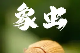 这是一种嘴巴长在鼻子上的虫子 #动物科普 #象鼻虫 #扇喉蜥