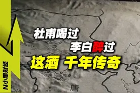 李白解貂换酒，杜甫盛赞无敌！剑南春的千年密码 #历史 #水晶剑南春 #名酒醉群英视频封面