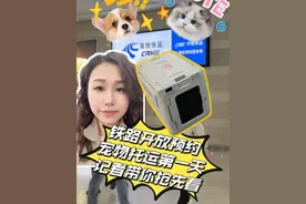 铁路开放预约宠物托运第一天，怎么托？用啥托？上海虹桥站抢先看 4月8日，铁路部门开放线上预约宠物托运，记者以乘客身份到上海虹桥火车站，探访宠物托运流程。到达中铁快运站点后，工作人员向记者展示了“高铁专用宠物托运箱”。#抖音精选计划视频封面