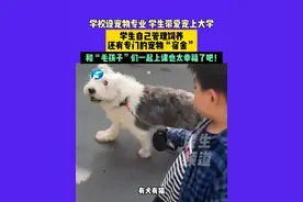 学校设宠物专业 学生带爱宠上大学，学生自己管理饲养，还有专门的宠物“宿舍”，和“毛孩子”们一起上课也太幸福了吧！