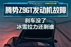 #腾势Z9GT 发动机故障 刹车没了 冰雪拉力还剩谁#2024懂车帝全球冬测#懂车帝冬测