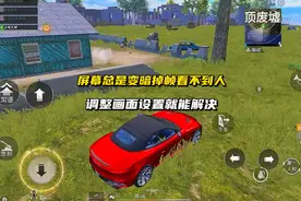 #和平精英 手机总是暗屏看不到人，需要调整这些设置