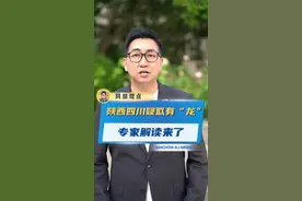 “龙”事件梳理 #四川 #陕西 #不明飞行物视频封面