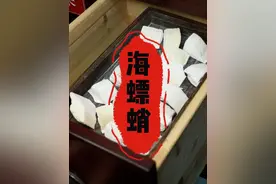 【尝百草】海螵蛸：就是乌贼背上的骨头。#海螵蛸 #乌贼骨 #尝百草 #传承中医文化 #中医传承视频封面