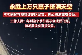 丽江一地大量燕子夜间漫天飞舞！地震局回应视频封面