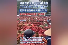 岭南荔枝喜获丰收，通过顺丰等快递企业“空运+陆运”生鲜冷链寄送，基本实现“次日达”全国各地，吃货们同享“妃子笑”。视频封面