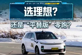 过大曲率弯道，选#理想L6 ？还是“平替版”#零跑C16？#2024懂车帝全球冬测#懂车帝冬测#懂车帝杨恺