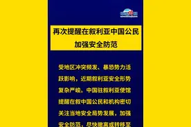中使馆再次提醒在叙利亚中国公民加强防范 #叙利亚视频封面