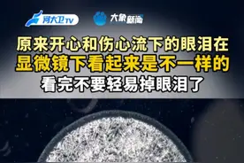 原来开心和伤心流下的眼泪在显微镜下看起来是不一样的！看完不要轻易掉眼泪了~#眼泪也有形状