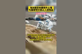 海关截获夹藏境外土壤3300公斤，为国家明令禁止入境物品！#新疆阿拉山口 #海关 #生态环境 