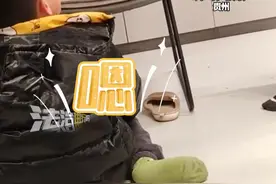 哥哥棍棒出手完全血脉压制 妈妈：哥哥从小就是“小孩哥” 网友：别去劝架 这是他们自己的社交（吕）#社会百态 #兄弟 #二胎 #带娃视频封面