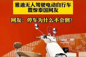 连#电动车 都要买不起了吗视频封面