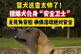 天安门广场，搜爆犬化身“安全卫士”，展开无死角安检，确保活动绝对安全！