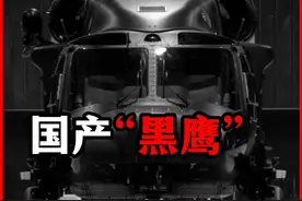 从高原运输到三军通用：直-20的国产化突破与实战应用！2 视频封面